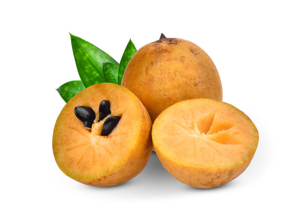 Sapota